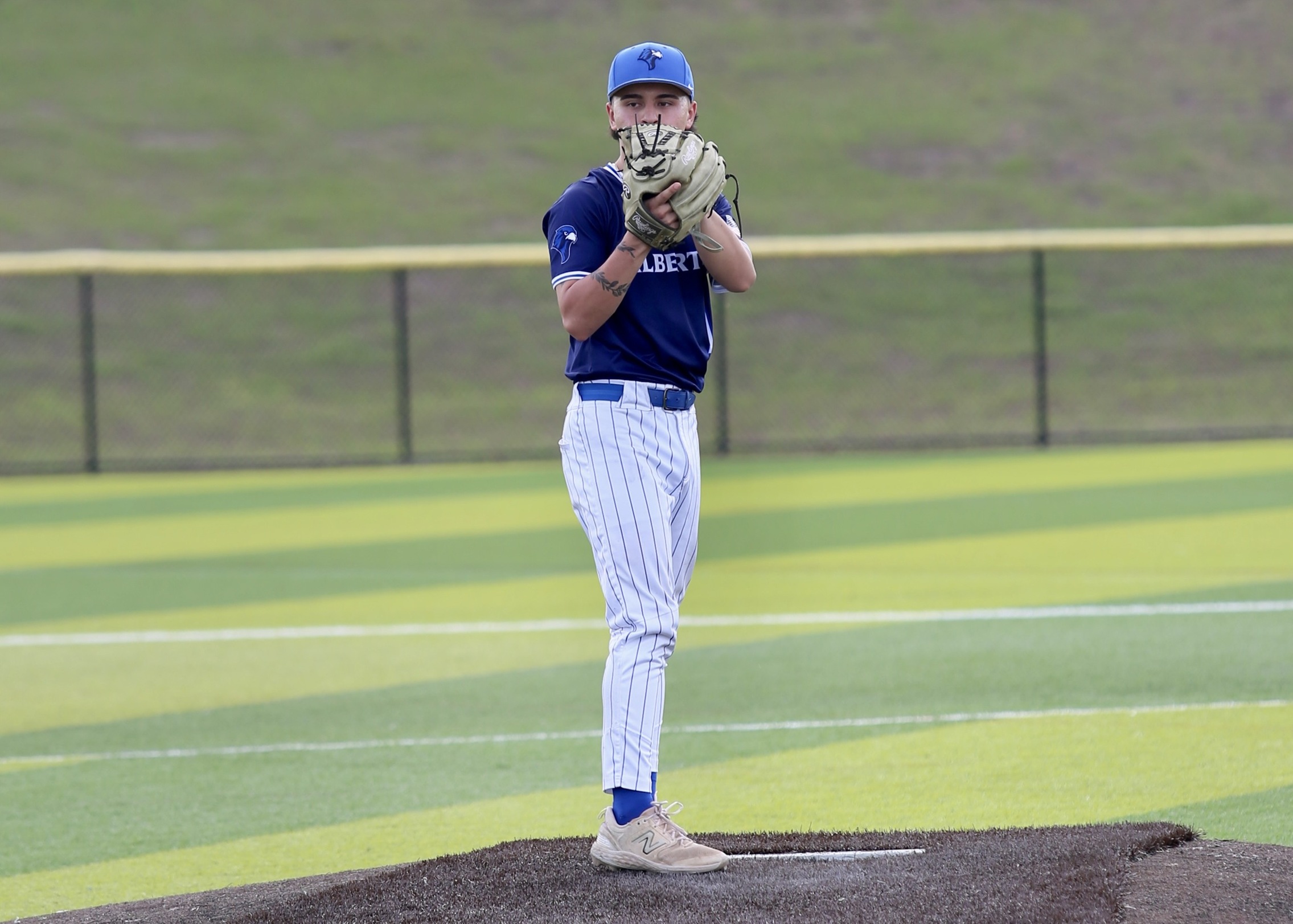Falcons Split With Norwich; Heidel Strikes Out Nine In Game Two As Offense Hits Three Homers