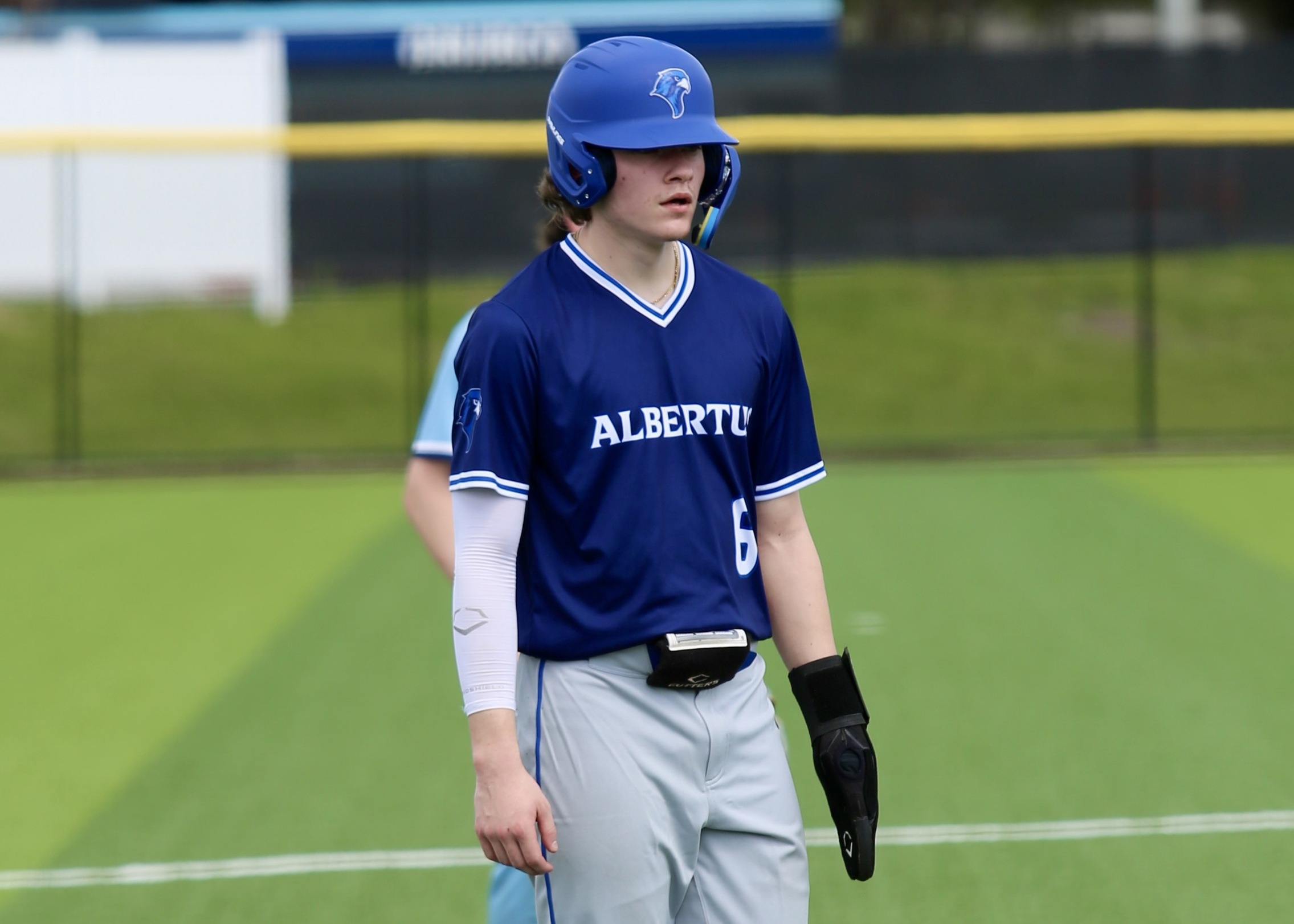 Baseball Falls To Vassar