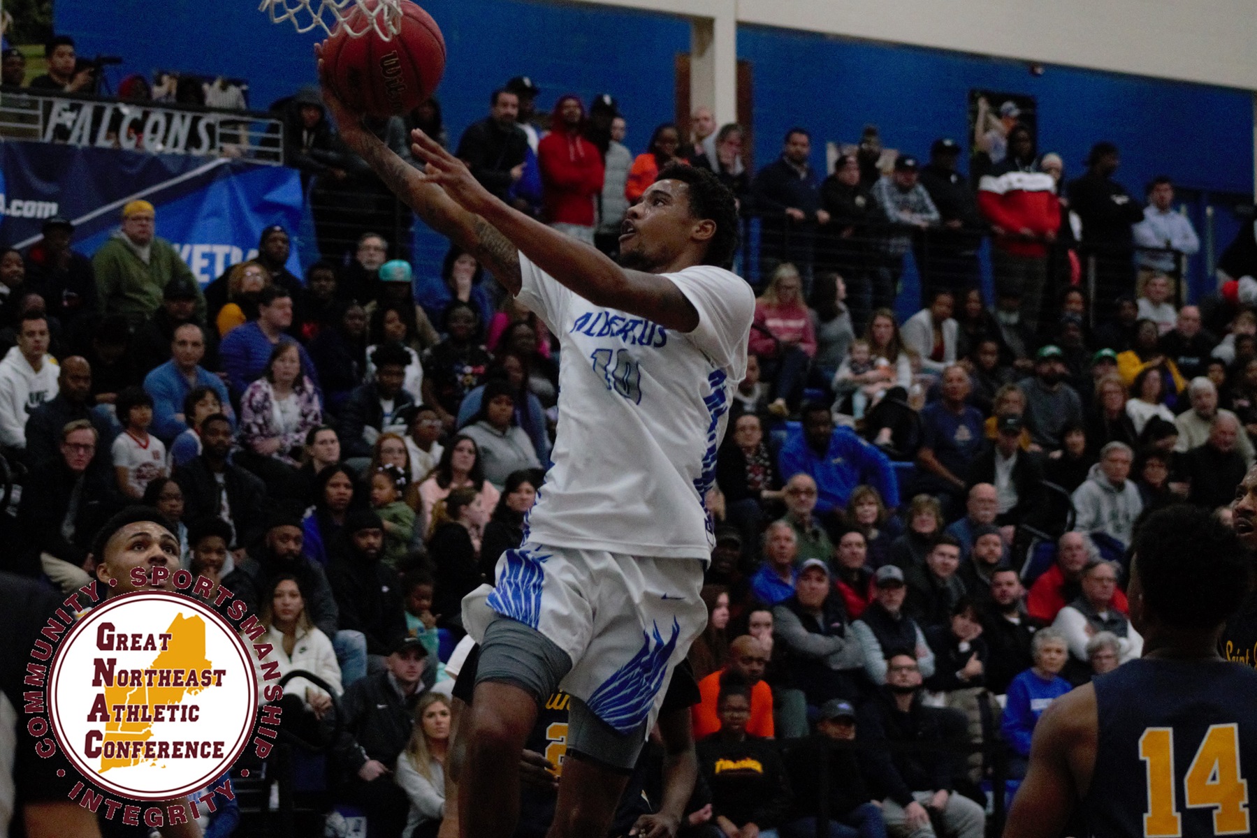 Men's Basketball GNAC Preview: GNAC Tournament Quarterfinal vs. Suffolk