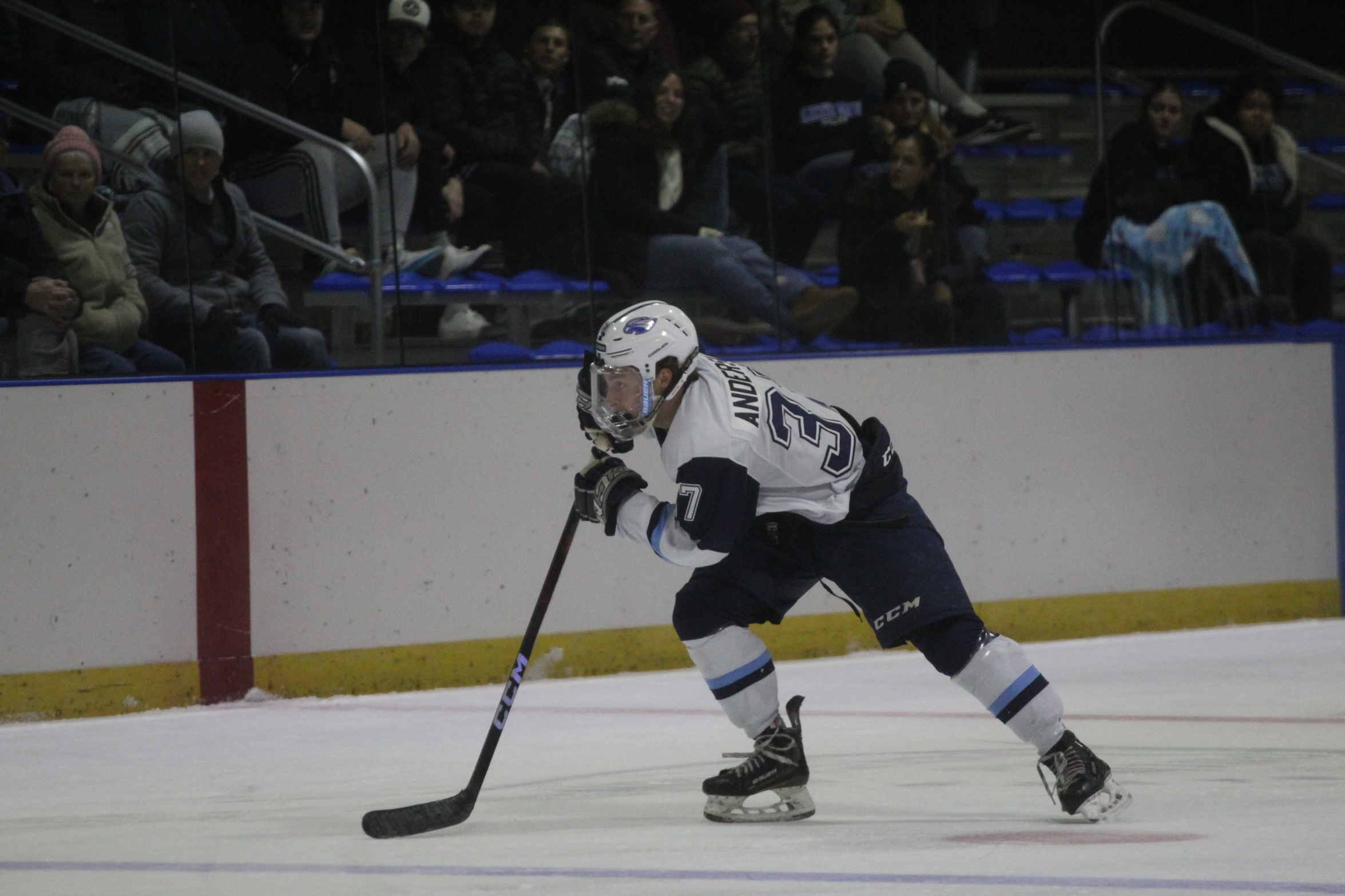 Anderson Scores Late In Third Period As Men's Hockey Tops Castleton