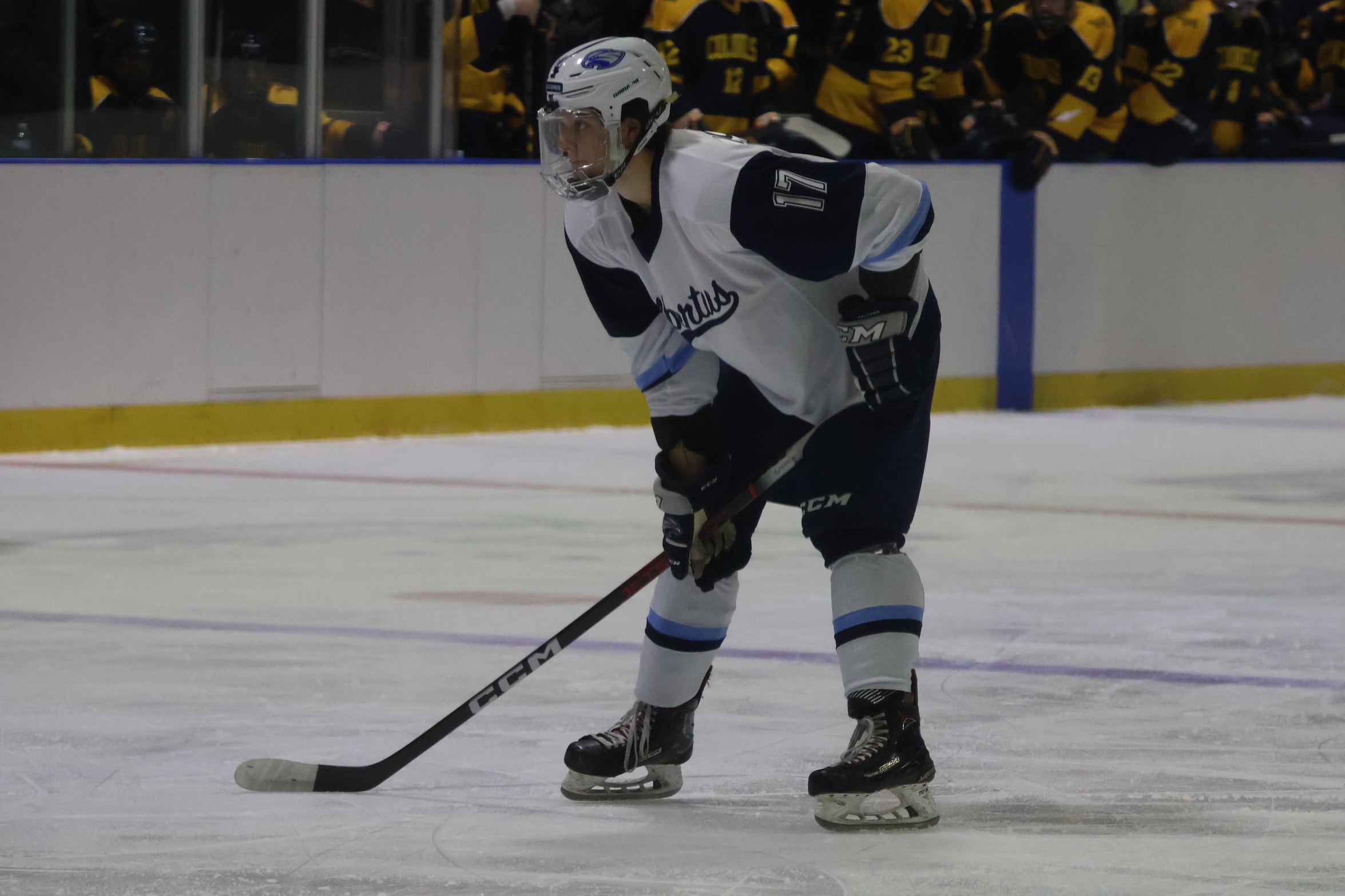 Men's Ice Hockey Drops NEHC Contest To Norwich