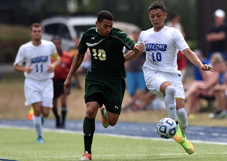 Falcons Cruise Past Newbury 9-2 in Season Opener