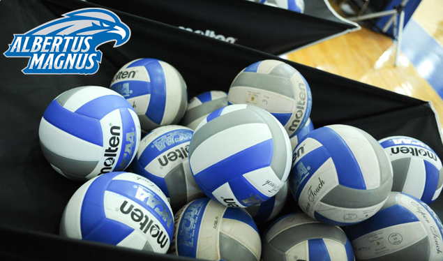Men's Volleyball Drops Season Opener at Wentworth