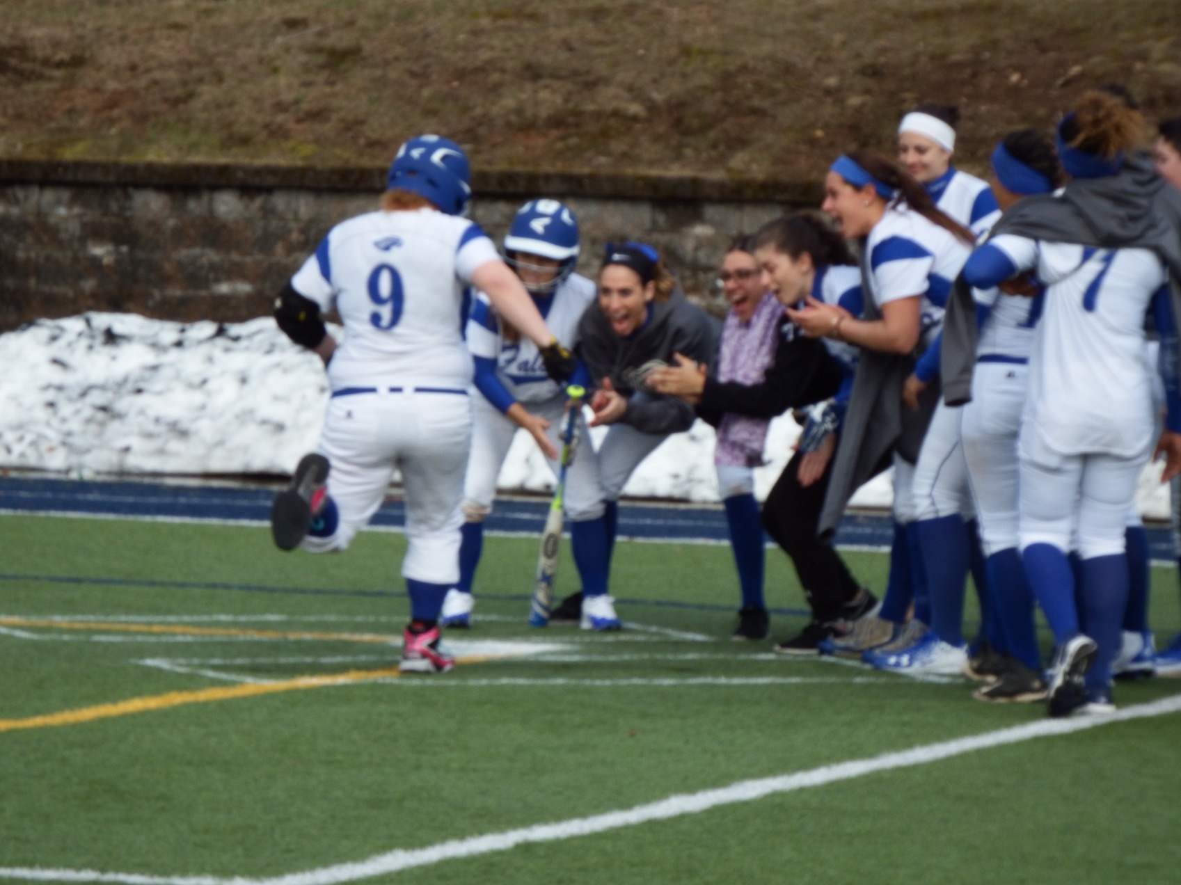 Softball Sweeps Simmons in GNAC Doubleheader