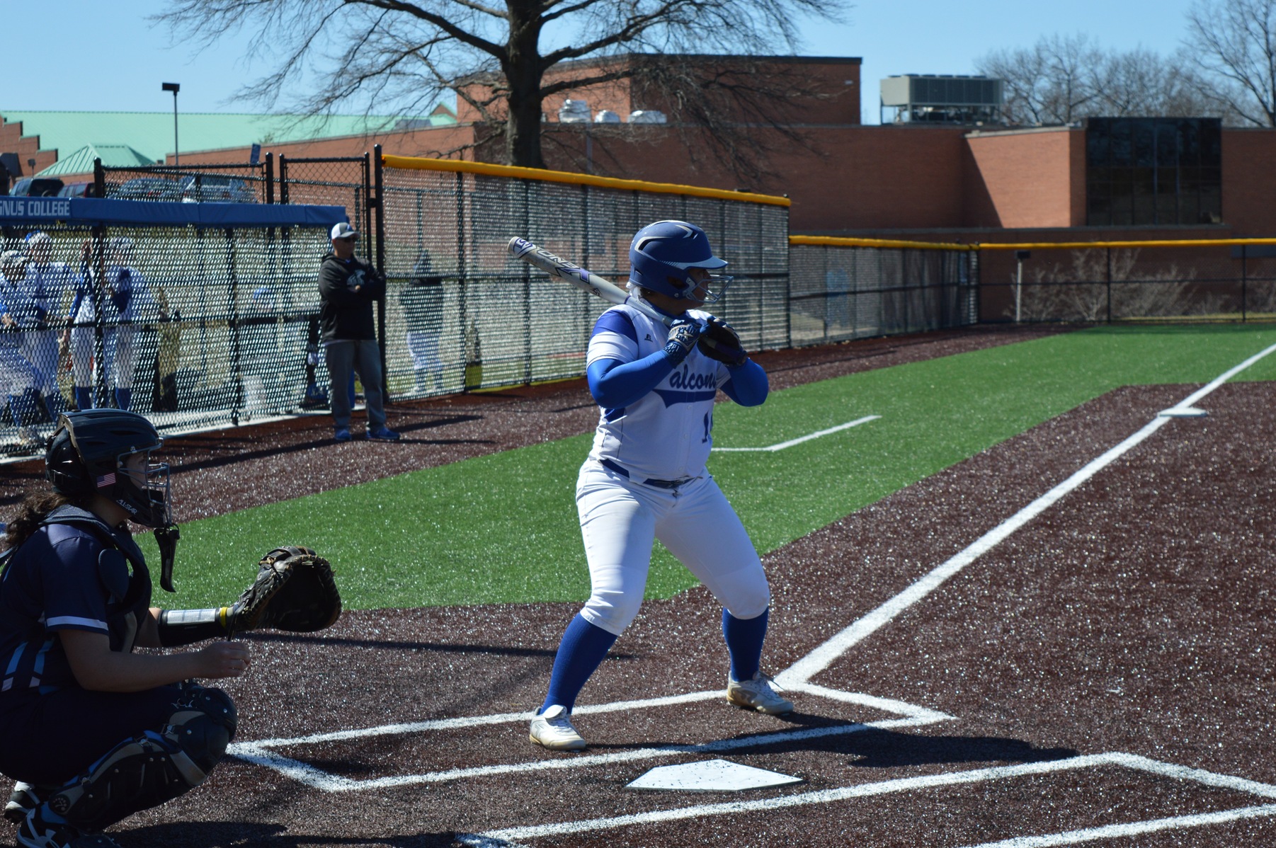 Brianna Whitfield
