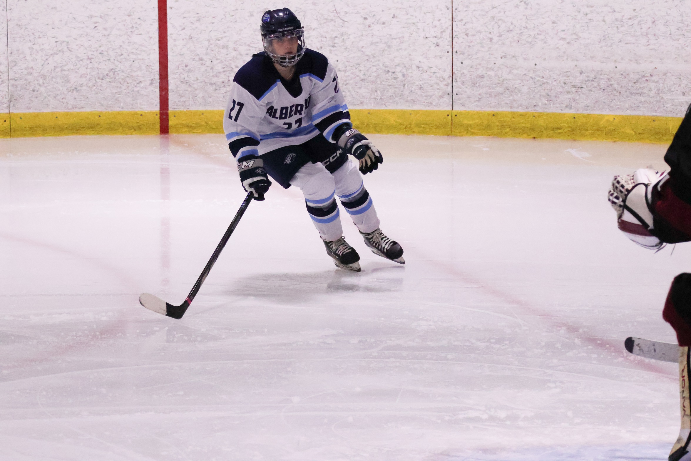 Women&rsquo;s Ice Hockey Bested in Road Tilt Against Neumann