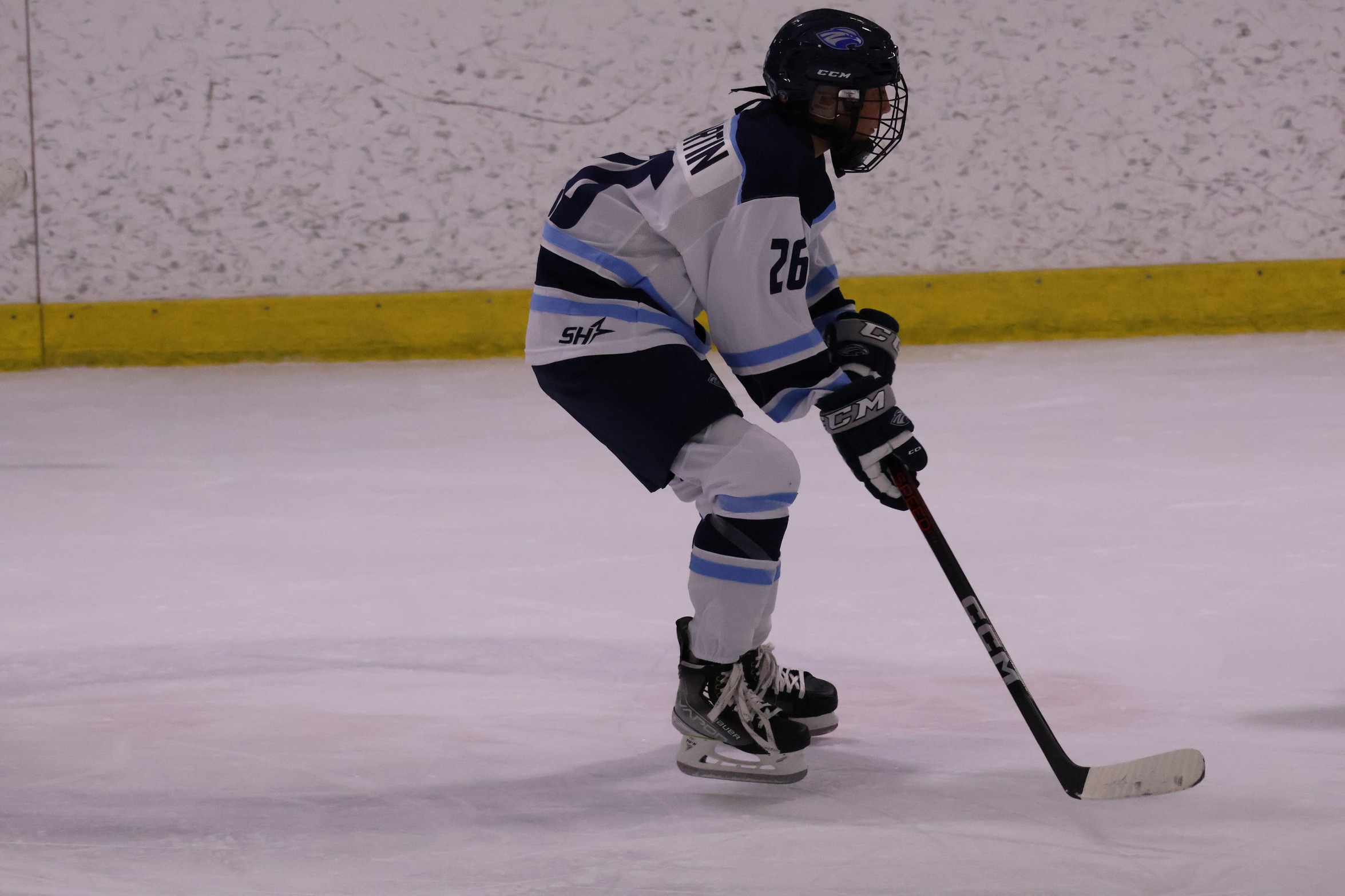 Women&rsquo;s Ice Hockey Falls to Lebanon Valley