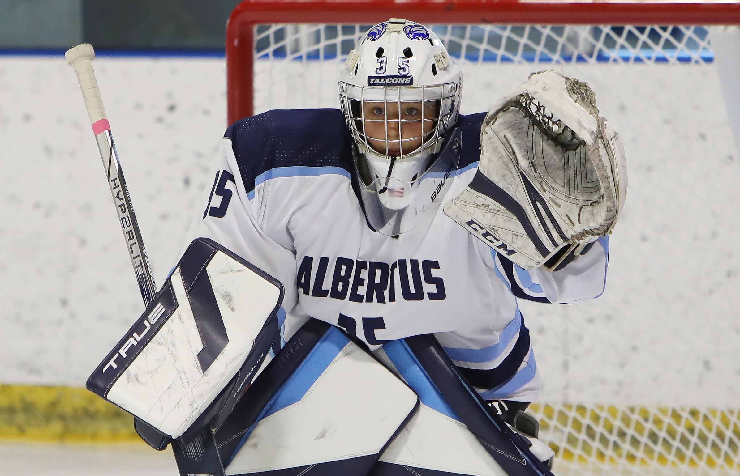 Trocchio Debuts in the Net; Women's Ice Hockey Drops NEHC Contest with William Smith