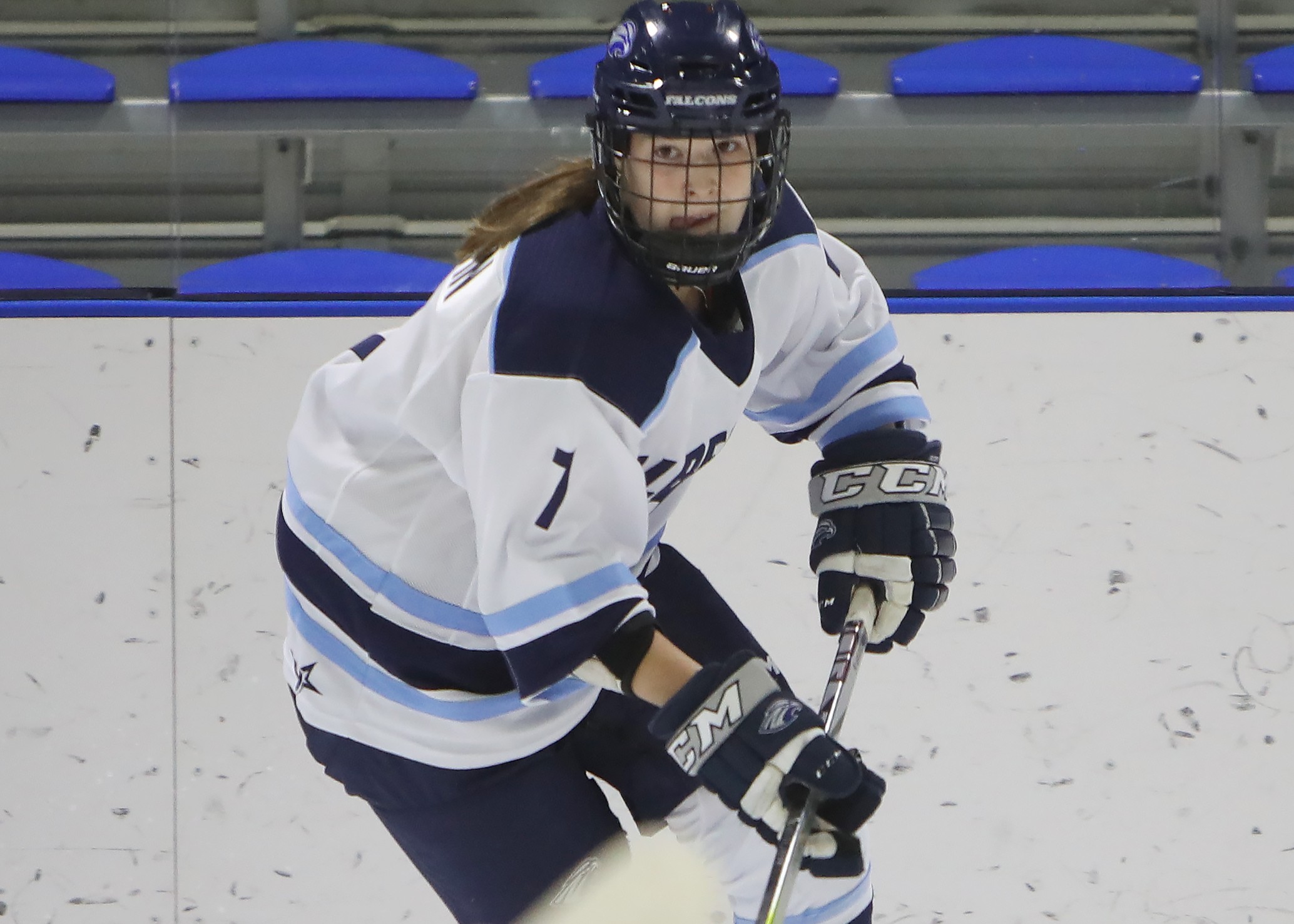 Women's Ice Hockey Clinches NEHC Playoff Spot With Win Over Salem State