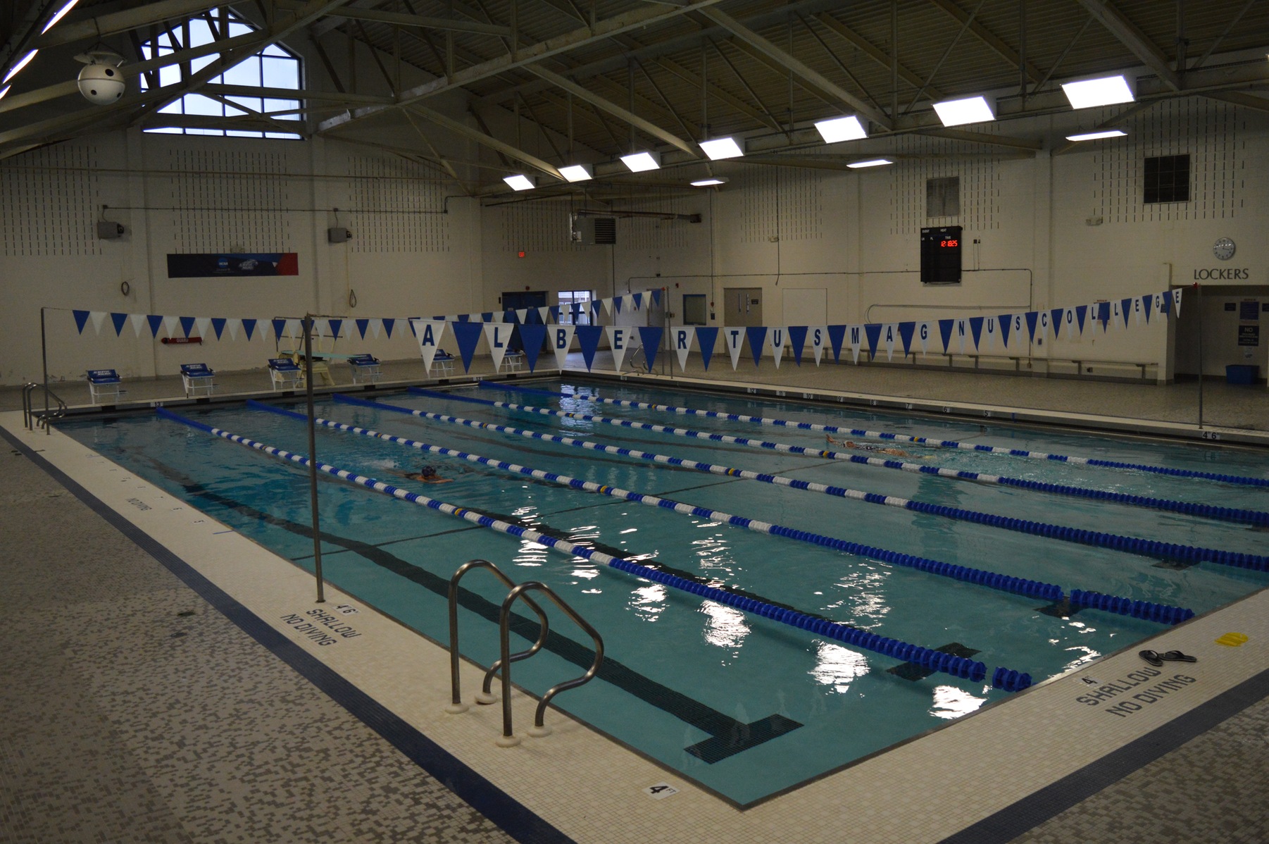 Albertus Magnus College To Pause Swimming and Diving as Intercollegiate Sports