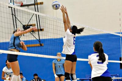 Falcons Fall to Wesleyan 3-0
