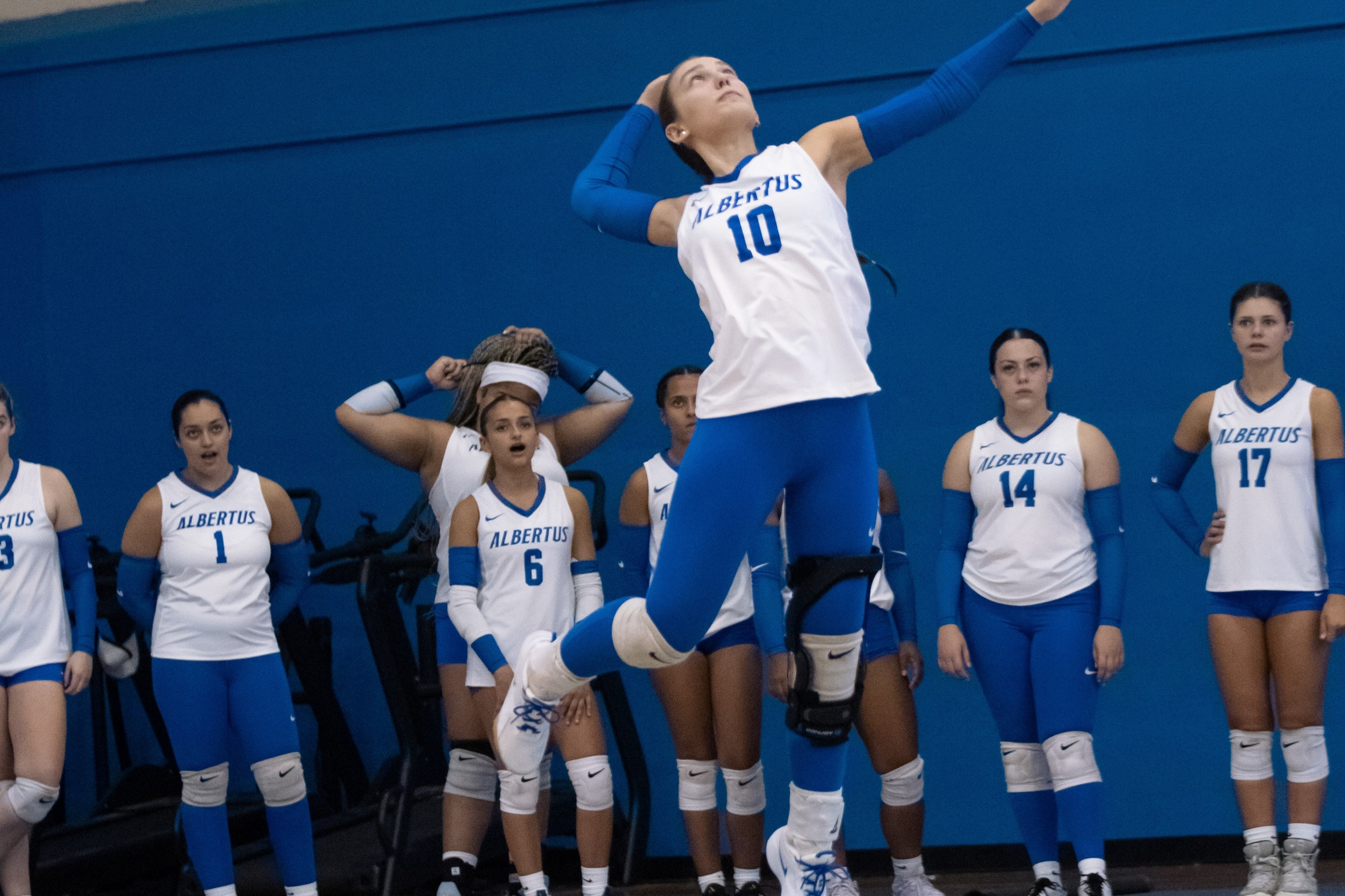 Volleyball Sweeps Purchase State On The Road