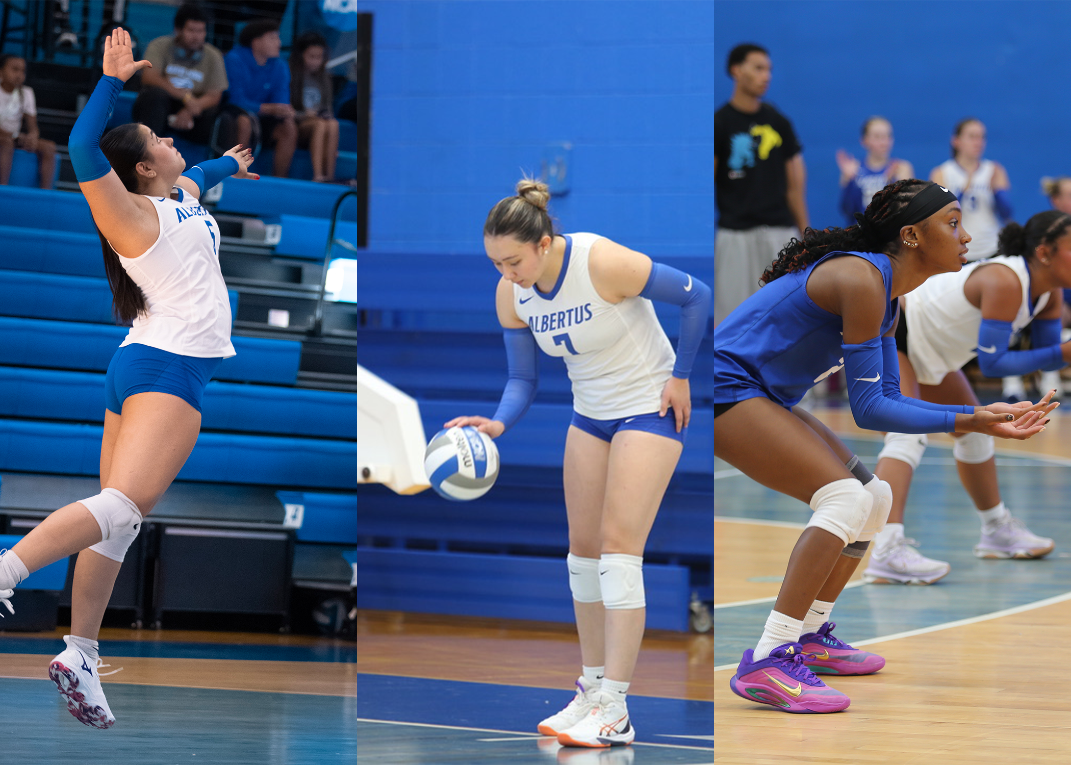 Volleyball Puts Three On CSC Academic All-District Team
